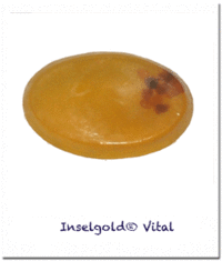 Rügener Inselgold ® Vital Bernsteinseife, 100g